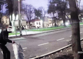 Amenzi aplicate de polițiștii locali unor brăileni pentru contravenții legate de păstrarea curățeniei și a ordinii și liniștii publice