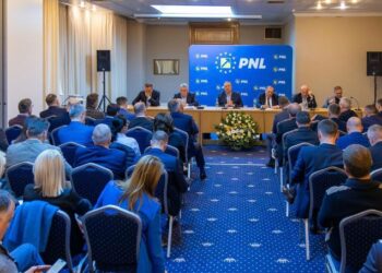 PNL a decis să meargă singur în alegerile de anul viitor