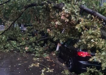 Dezastru în urma fenomenelor meteorologice din 04.11.2023: Intervenții de Urgență în municipiul Brăila și Însurăței