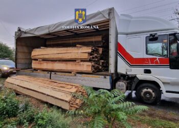 Depistați de polițiști având cu 5 m³ de lăturoaie din specia brad decât cantitatea trecută în avizul de însoțire a mărfii