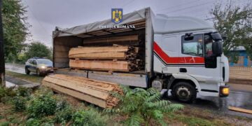 Depistați de polițiști având cu 5 m³ de lăturoaie din specia brad decât cantitatea trecută în avizul de însoțire a mărfii