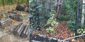 Mitescu e indignat de starea Secţiei de Ştiinţele Naturii a Muzeului Brăilei: „Spaţiile sunt improprii, zonele de depozitare sunt aproape inexistente, spațiul verde colcăie de gunoaie”