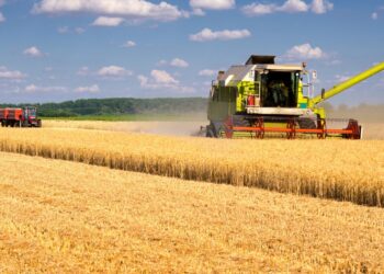 APIA a făcut plata sumei de 276.521.796,10 lei, în cadrul Campaniei de plată în avans 2023