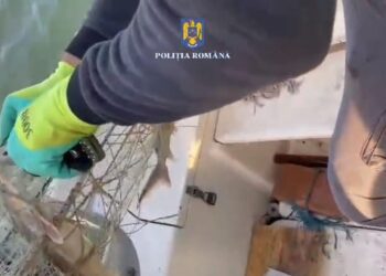 Acțiuni de combaterea braconajului piscicol pe fluviul Dunărea