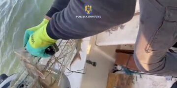 Acțiuni de combaterea braconajului piscicol pe fluviul Dunărea 1 Acțiuni de combaterea braconajului piscicol pe fluviul Dunărea