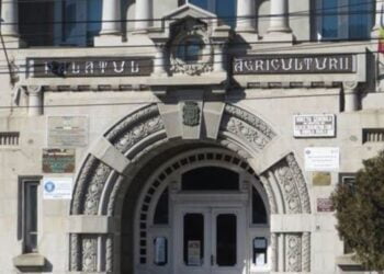 APIA a finalizat autorizarea la plată a sprijinului de urgență în sectorul cerealelor și al semințelor oleaginoase pentru un număr de 199.421 beneficiari