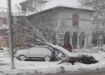 Cursuri suspendate la școlile din Brăila – luni, 27 noiembrie. Peste 100 de localități cu probleme în alimentarea cu energie electrică. Vântul a doborât zeci de copaci în municipiul Brăila