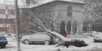 Cursuri suspendate la școlile din Brăila – luni, 27 noiembrie. Peste 100 de localități cu probleme în alimentarea cu energie electrică. Vântul a doborât zeci de copaci în municipiul Brăila