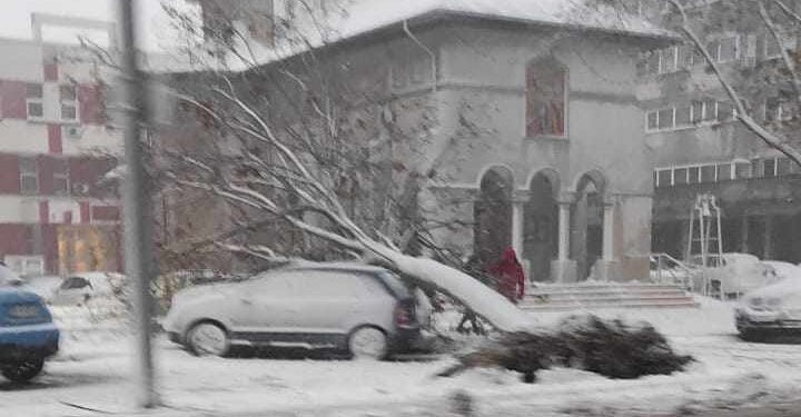 Cursuri suspendate la școlile din Brăila – luni, 27 noiembrie. Peste 100 de localități cu probleme în alimentarea cu energie electrică. Vântul a doborât zeci de copaci în municipiul Brăila