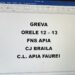 Salariații APIA din județul Brăila au întrerupt azi activitatea timp de o oră, ca urmare a nemulțumirilor salariale. Protestele vor continua