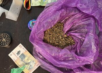 Patru mandate de percheziție domiciliară, în județele Iași și Galați, într-o cauză vizând săvârșirea infracțiunilor de trafic de droguri de risc și de mare risc în formă continuată