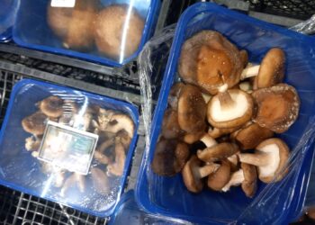 Sancțiuni drastice aplicate de CJPC Brăila în urma unui control riguros la SC Carrefour România SA