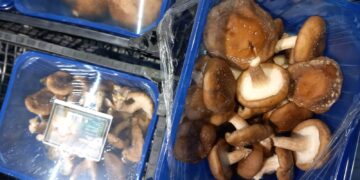 Sancțiuni drastice aplicate de CJPC Brăila în urma unui control riguros la SC Carrefour România SA