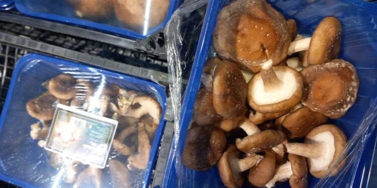 Sancțiuni drastice aplicate de CJPC Brăila în urma unui control riguros la SC Carrefour România SA