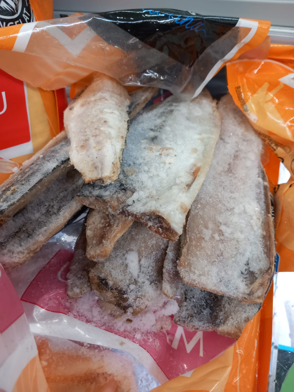 PHOTO 2023 12 08 15 21 19 1