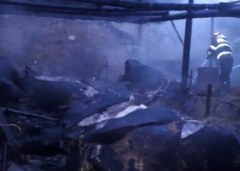 Opt bovine arse într-un incendiu în comuna Vișani. Au fost salvate 6 bovine și o ovină