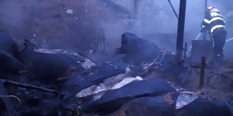 Opt bovine arse într-un incendiu în comuna Vișani. Au fost salvate 6 bovine și o ovină