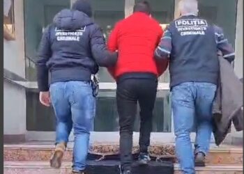 Arestat preventiv pentru 30 de zile sub acuzațiile de furt și furt calificat