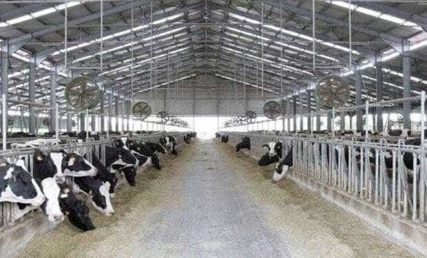 AFIR a publicat condițiile accesării fondurilor europene pentru investiții în sectorul zootehnic și în procesare