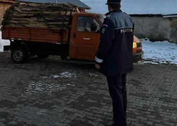 Un bărbat din Făurei, depistat de polițiști în timp ce transporta lemne fără documente legale