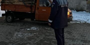 Un bărbat din Făurei, depistat de polițiști în timp ce transporta lemne fără documente legale