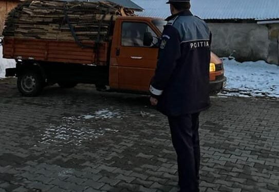 Un bărbat din Făurei, depistat de polițiști în timp ce transporta lemne fără documente legale