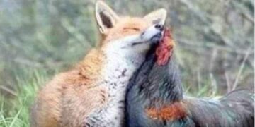 01DDCCAE 9DB3 401D 9E8D 629BAB5DF805