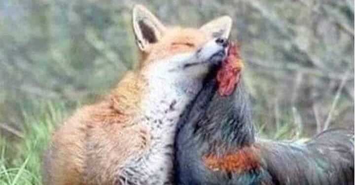 01DDCCAE 9DB3 401D 9E8D 629BAB5DF805