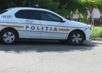 Bărbat din Făurei condamnat la o pedeapsă de 1 an și 11 luni de închisoare pentru conducerea unui vehicul fără permis de conducere