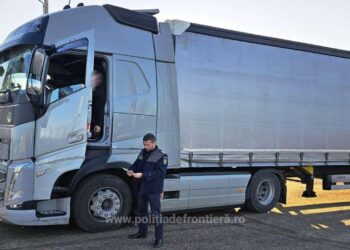 Poliță de asigurare obligatorie falsă, descoperită la efectuarea de operațiuni comerciale