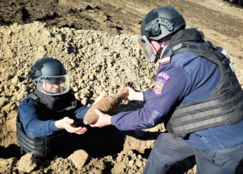 Foto: Intervenție de amploare a pirotehniștilor buzoieni