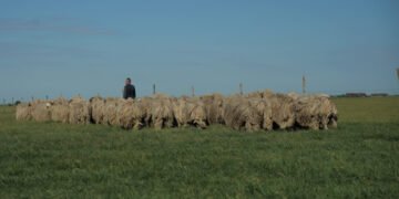 Fostă angajată a Agenției pentru Zootehnie din Galați, și a Primăriei comunei Mărașu, județul Brăila, trimisă în judecată de procurorii DNA pentru obținerea frauduloasă de fonduri europene