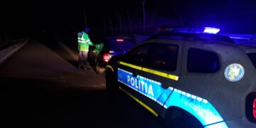 Băut și cu permisul anulat depistat la volan pe DC 35, în afara localității Perișoru