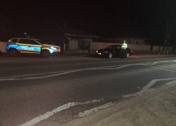 De Ziua Culturii polițiștii brăileni au desfășurat 16 acțiuni și razii pentru prevenirea și descurajarea faptelor comise cu violență, a situațiilor de risc și pentru combaterea consumului de droguri