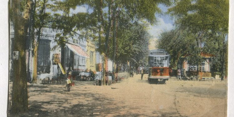 Stațiunea Lacu Sărat: O oază terapeutică cu tradiție și inovație