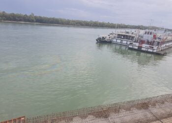 În anul 2023, Comisariatul Judeţean Brăila al Gărzii Naţionale de Mediu a efectuat un număr total de 867 inspecţii și a aplicat 83 de amenzi și 20 de avertismente