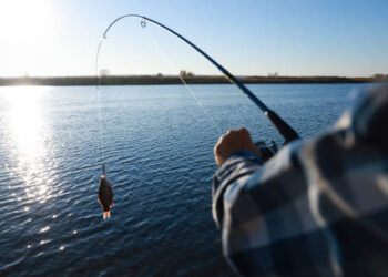 În atenția amatorilor de pescuit recreativ/sportiv precum și a pescarilor profesioniști