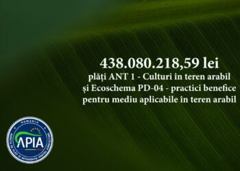Peste 438 milioane lei ajung în conturile beneficiarilor de ANT – sector vegetal și înverzire PD – 04, Campania 2023