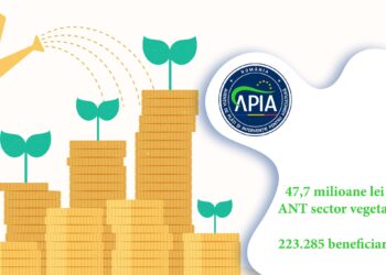 APIA a autorizat la plată peste 47,7 milioane lei pentru Ajutoarele Naționale Tranzitorii (ANT) – sector vegetal – Campania 2023