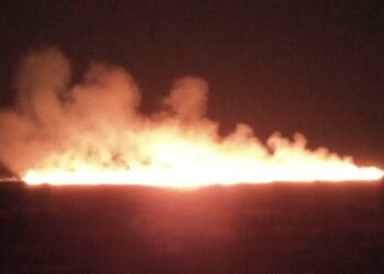 Parchetul de pe lângă Judecătoria Brăila a fost sesizat cu privire la două cazuri de incendiere a vegetației uscate și a stufului
