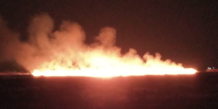 Parchetul de pe lângă Judecătoria Brăila a fost sesizat cu privire la două cazuri de incendiere a vegetației uscate și a stufului