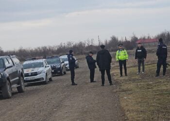 O ursoaică cu pui ar fi fost văzută azi noapte în proximitatea inelului de cale ferată de la Făurei