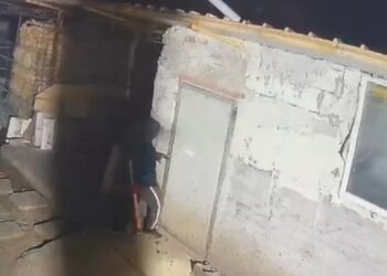 Fermă din județul Galaţi călcată de hoţi! Mai multe oi și găini furate din fermă. Câinele fugărit cu toporul