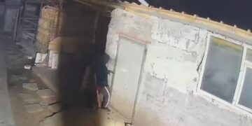 Fermă din județul Galaţi călcată de hoţi! Mai multe oi și găini furate din fermă. Câinele fugărit cu toporul