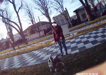 Amenzi aplicate de Poliția Locală Brăila în perioada 29.01 – 01.02.2024