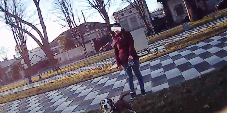 Amenzi aplicate de Poliția Locală Brăila în perioada 29.01 – 01.02.2024 14 Amenzi aplicate de Poliția Locală Brăila în perioada 29.01 – 01.02.2024