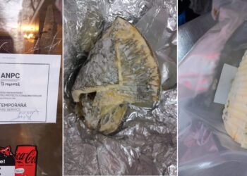 Amendă în valoare de 5.000 lei și oprirea temporară a activității restaurantului Paradis Corso, după un control al CJPC Brăila