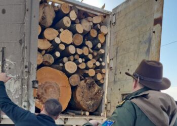 Acțiune pentru prevenirea și combaterea infracțiunilor silvice