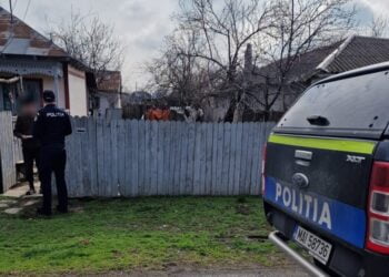 Polițiștii brăileni au acționat și ieri pentru siguranța cetățeanului