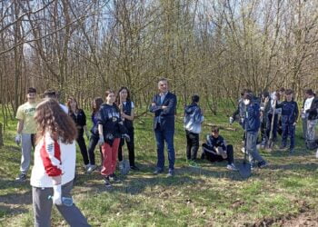 Aproximativ 250 de elevi au plantat puieți din specia stejar brumăriu, în cadrul sărbătorii ”Luna plantării arborilor”